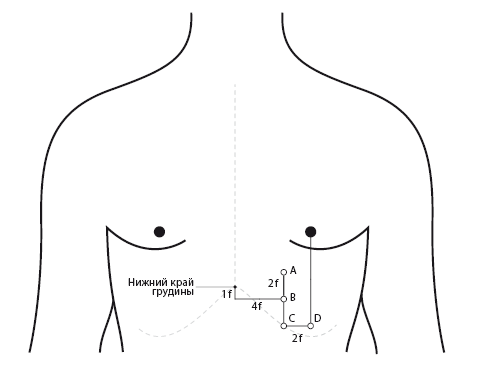 Иллюстрация к книге — Путь сердца. Простая практика, которая изменила жизни миллионов людей по всему миру [i_002.jpg]