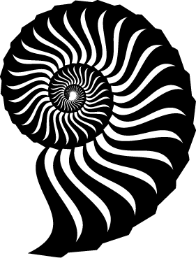 Иллюстрация к книге — Чуткое ухо. Что может рассказать о вашем здоровье ушная раковина [i_001.jpg]