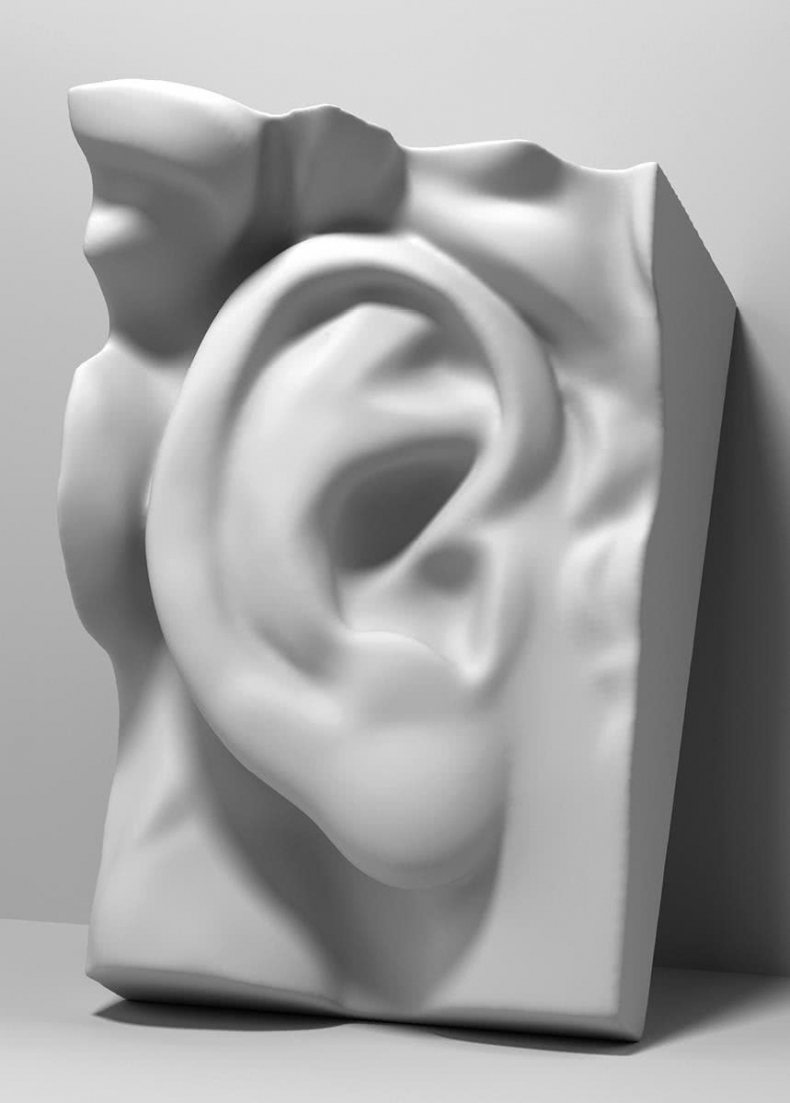 Иллюстрация к книге — Чуткое ухо. Что может рассказать о вашем здоровье ушная раковина [i_015.jpg]