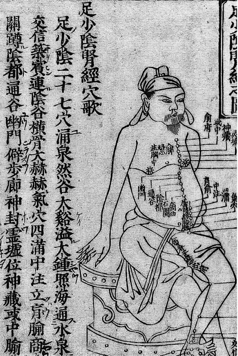 Иллюстрация к книге — Чуткое ухо. Что может рассказать о вашем здоровье ушная раковина [i_018.jpg]