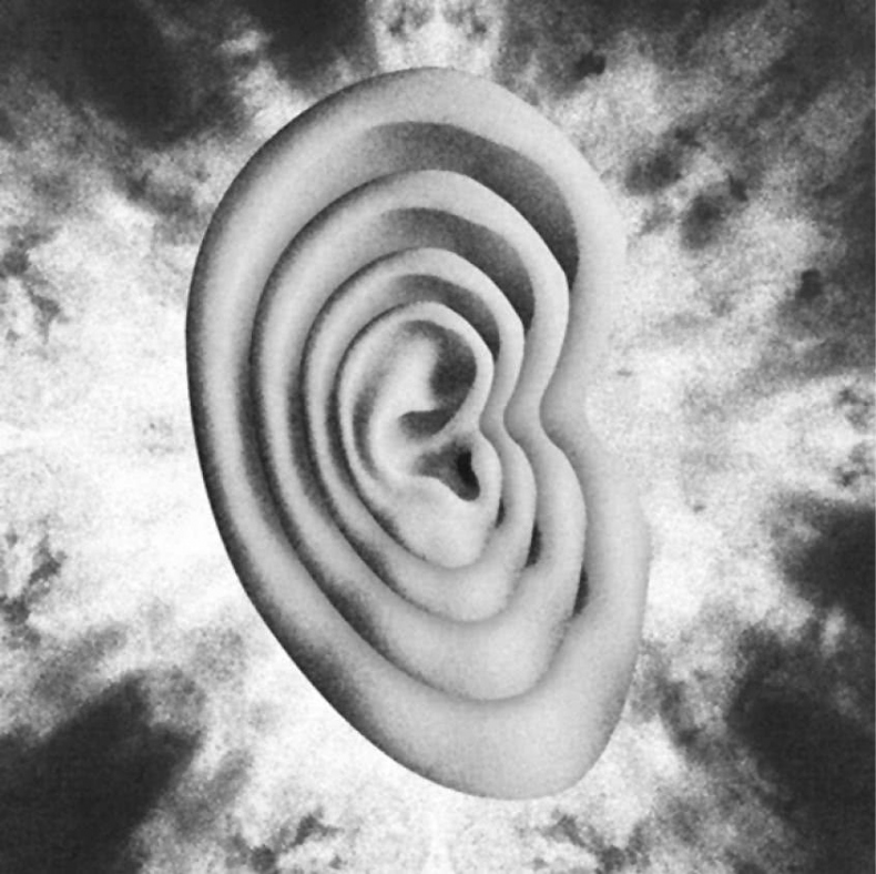 Иллюстрация к книге — Чуткое ухо. Что может рассказать о вашем здоровье ушная раковина [i_023.jpg]