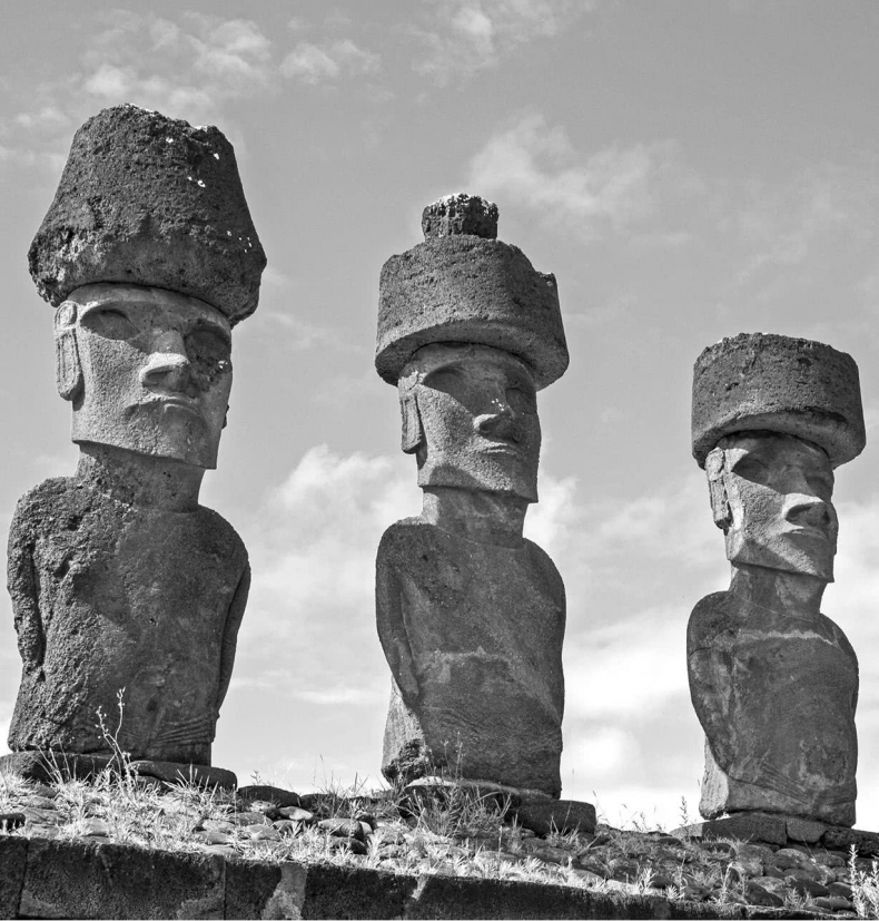 Иллюстрация к книге — Чуткое ухо. Что может рассказать о вашем здоровье ушная раковина [i_029.jpg]