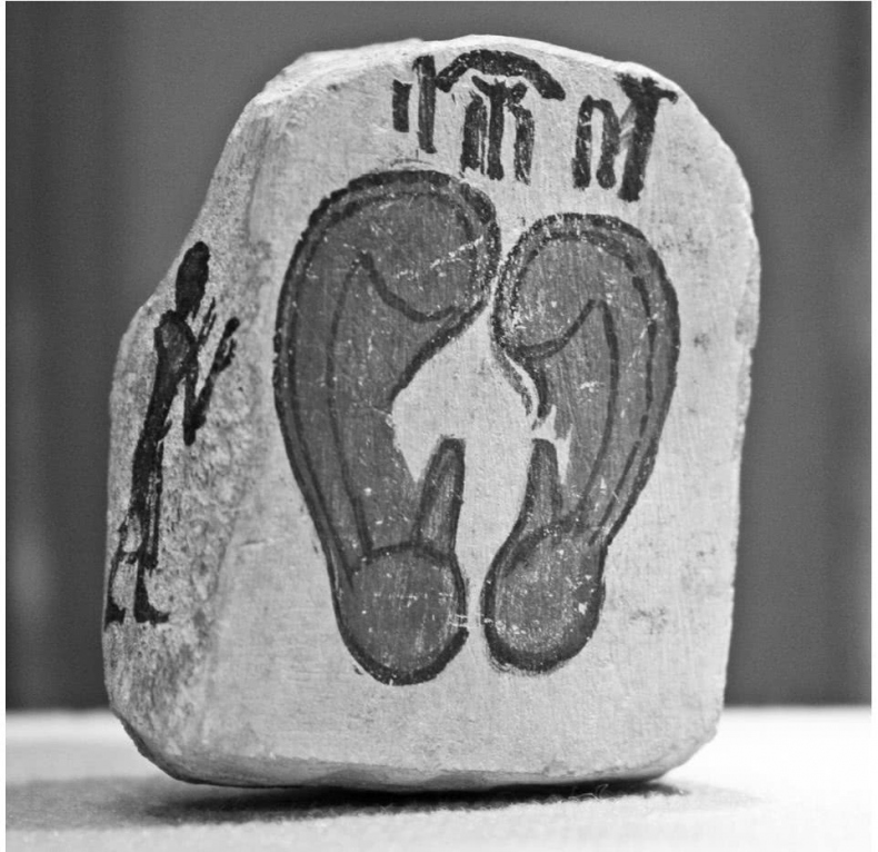 Иллюстрация к книге — Чуткое ухо. Что может рассказать о вашем здоровье ушная раковина [i_037.jpg]