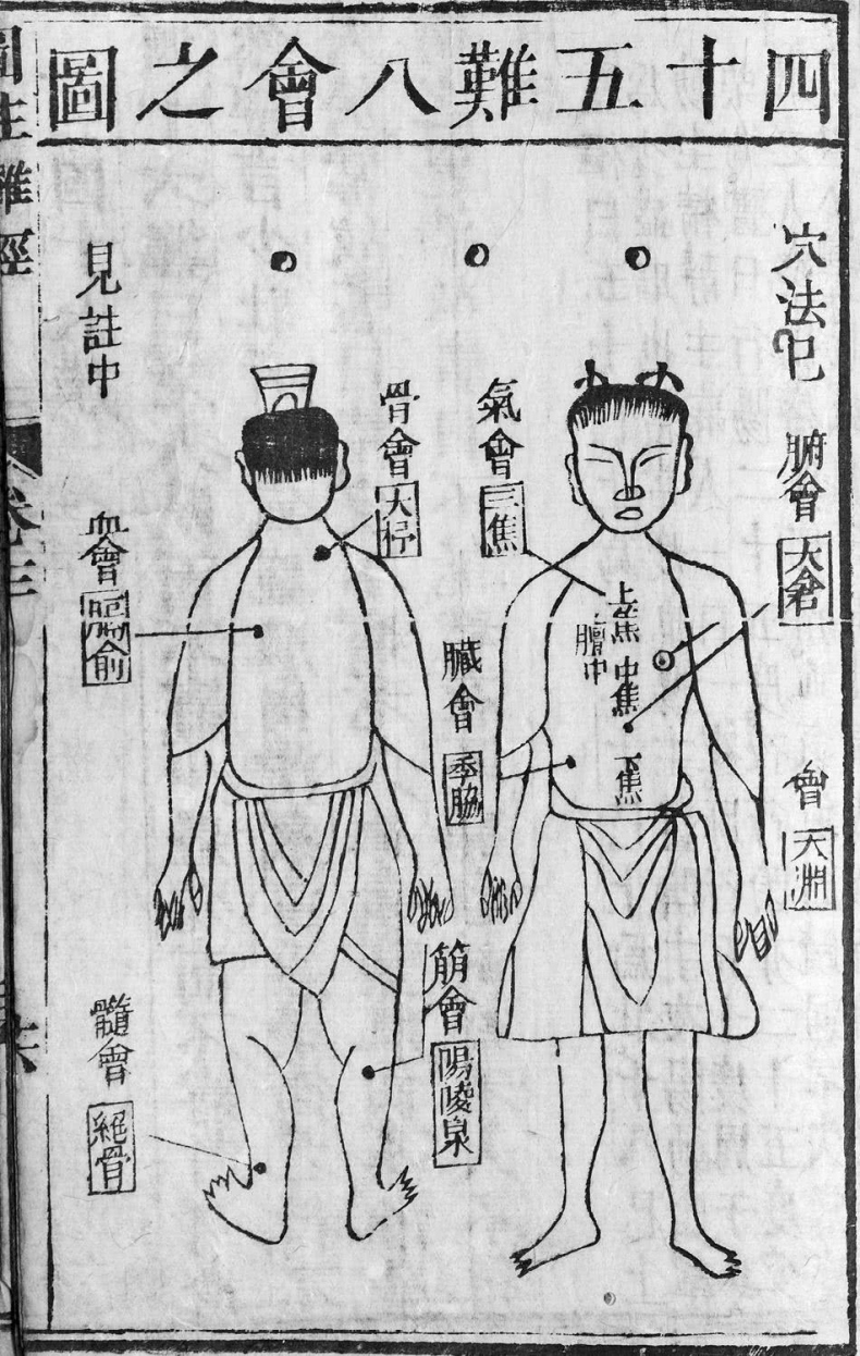 Иллюстрация к книге — Чуткое ухо. Что может рассказать о вашем здоровье ушная раковина [i_046.jpg]