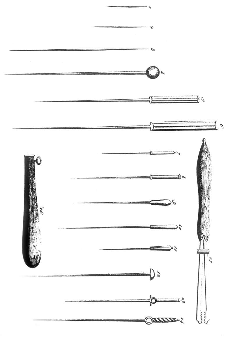 Иллюстрация к книге — Чуткое ухо. Что может рассказать о вашем здоровье ушная раковина [i_053.jpg]