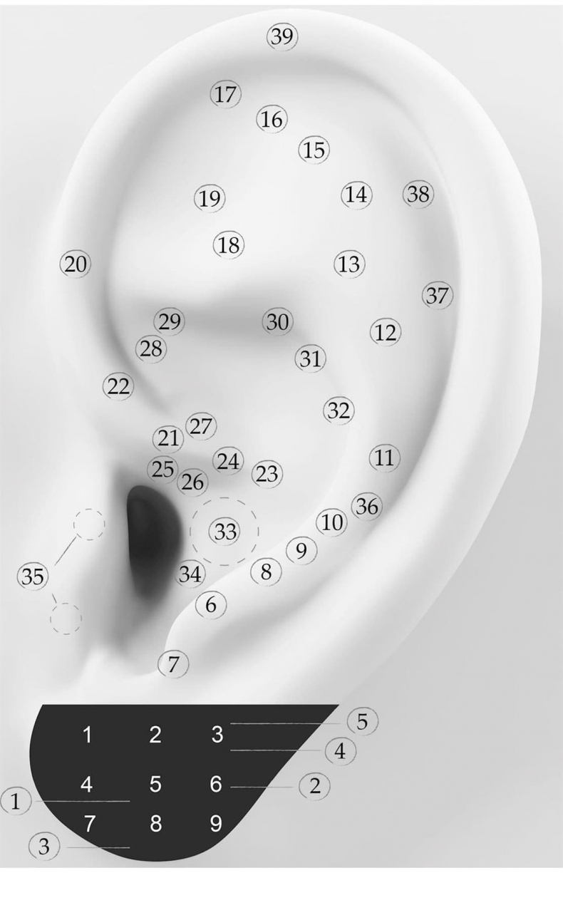 Иллюстрация к книге — Чуткое ухо. Что может рассказать о вашем здоровье ушная раковина [i_093.jpg]