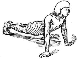 Иллюстрация к книге — Йога для укрепления спины и суставов. Современное руководство по древней египетской методике исцеления маздазнан [i_129.jpg]