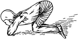 Иллюстрация к книге — Йога для укрепления спины и суставов. Современное руководство по древней египетской методике исцеления маздазнан [i_145.jpg]