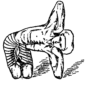 Иллюстрация к книге — Йога для укрепления спины и суставов. Современное руководство по древней египетской методике исцеления маздазнан [i_148.jpg]