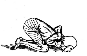 Иллюстрация к книге — Йога для укрепления спины и суставов. Современное руководство по древней египетской методике исцеления маздазнан [i_149.jpg]