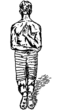 Иллюстрация к книге — Йога для укрепления спины и суставов. Современное руководство по древней египетской методике исцеления маздазнан [i_153.jpg]