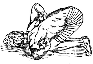 Иллюстрация к книге — Йога для укрепления спины и суставов. Современное руководство по древней египетской методике исцеления маздазнан [i_154.jpg]