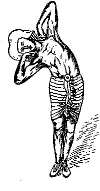 Иллюстрация к книге — Йога для укрепления спины и суставов. Современное руководство по древней египетской методике исцеления маздазнан [i_166.jpg]