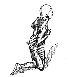 Иллюстрация к книге — Йога для укрепления спины и суставов. Современное руководство по древней египетской методике исцеления маздазнан [i_170.jpg]