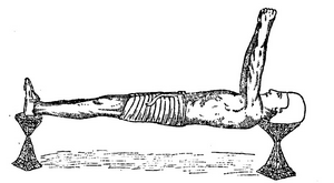 Иллюстрация к книге — Йога для укрепления спины и суставов. Современное руководство по древней египетской методике исцеления маздазнан [i_174.jpg]