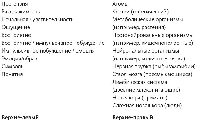 Иллюстрация к книге — Краткая история всего [i_007.jpg]