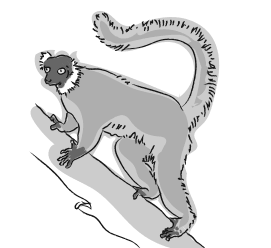 Иллюстрация к книге — Дарвин на отдыхе. Размышляем над теорией эволюции [i_009.jpg]