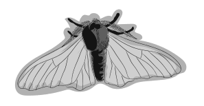 Иллюстрация к книге — Дарвин на отдыхе. Размышляем над теорией эволюции [i_012.jpg]