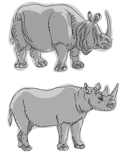 Иллюстрация к книге — Дарвин на отдыхе. Размышляем над теорией эволюции [i_013.jpg]