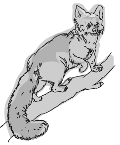 Иллюстрация к книге — Дарвин на отдыхе. Размышляем над теорией эволюции [i_016.jpg]