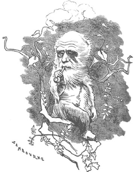 Иллюстрация к книге — Дарвин на отдыхе. Размышляем над теорией эволюции [i_026.jpg]