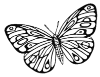 Иллюстрация к книге — Гоблин. Романтическое заклятье [i_003.jpg]