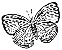 Иллюстрация к книге — Гоблин. Романтическое заклятье [i_007.jpg]