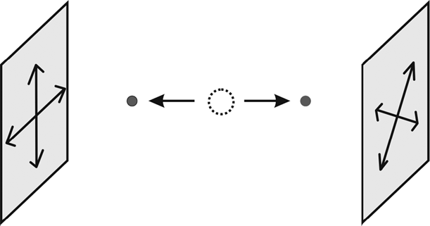 Иллюстрация к книге — Уродливая Вселенная [i_009.jpg]