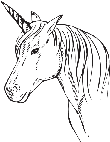 Иллюстрация к книге — Зачем мужчинам соски? Вопросы, которые ты осмелишься задать доктору только после третьего бокала [i_010.jpg]