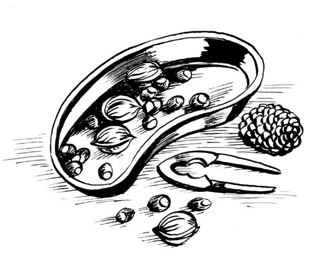 Иллюстрация к книге — Осторожно, Рождество! Что происходит с теми, кому не удалось избежать дежурства в праздники [i_003.jpg]