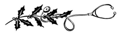 Иллюстрация к книге — Осторожно, Рождество! Что происходит с теми, кому не удалось избежать дежурства в праздники [i_028.jpg]