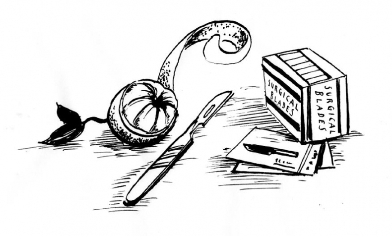 Иллюстрация к книге — Осторожно, Рождество! Что происходит с теми, кому не удалось избежать дежурства в праздники [i_032.jpg]