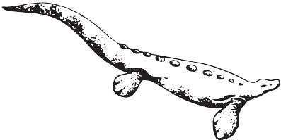 Иллюстрация к книге — Палеонтология антрополога. Книга 2. Мезозой [i_015.jpg]