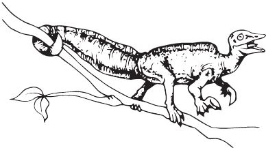 Иллюстрация к книге — Палеонтология антрополога. Книга 2. Мезозой [i_021.jpg]