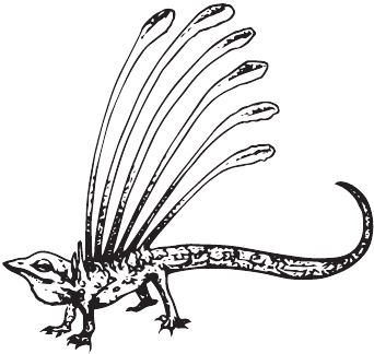 Иллюстрация к книге — Палеонтология антрополога. Книга 2. Мезозой [i_022.jpg]