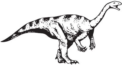 Иллюстрация к книге — Палеонтология антрополога. Книга 2. Мезозой [i_031.jpg]