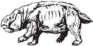 Иллюстрация к книге — Палеонтология антрополога. Книга 2. Мезозой [i_035.jpg]