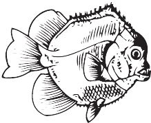 Иллюстрация к книге — Палеонтология антрополога. Книга 2. Мезозой [i_042.jpg]