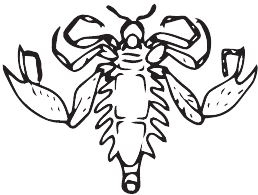 Иллюстрация к книге — Палеонтология антрополога. Книга 2. Мезозой [i_045.jpg]