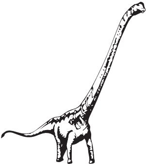 Иллюстрация к книге — Палеонтология антрополога. Книга 2. Мезозой [i_059.jpg]