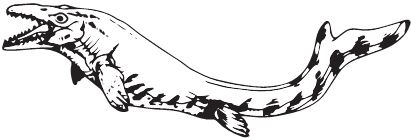 Иллюстрация к книге — Палеонтология антрополога. Книга 2. Мезозой [i_080.jpg]