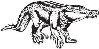 Иллюстрация к книге — Палеонтология антрополога. Книга 2. Мезозой [i_084.jpg]