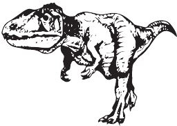 Иллюстрация к книге — Палеонтология антрополога. Книга 2. Мезозой [i_091.jpg]