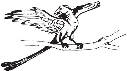 Иллюстрация к книге — Палеонтология антрополога. Книга 2. Мезозой [i_093.jpg]