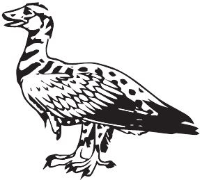 Иллюстрация к книге — Палеонтология антрополога. Книга 2. Мезозой [i_110.jpg]