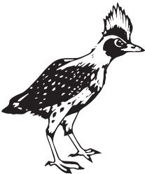 Иллюстрация к книге — Палеонтология антрополога. Книга 2. Мезозой [i_112.jpg]