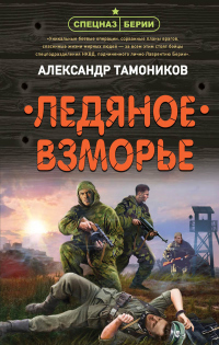 Книга Ледяное взморье