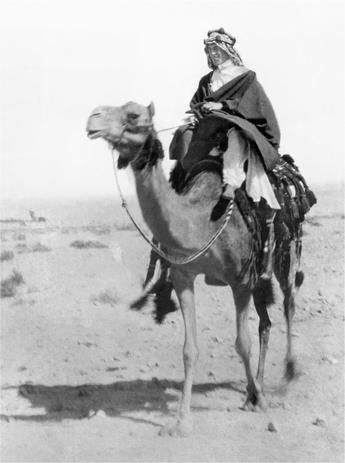 Иллюстрация к книге — Новая карта мира. Энергетические ресурсы, меняющийся климат и столкновение наций [i_049.jpg]