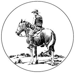 Иллюстрация к книге — Ближе к тебе [i_002.jpg]