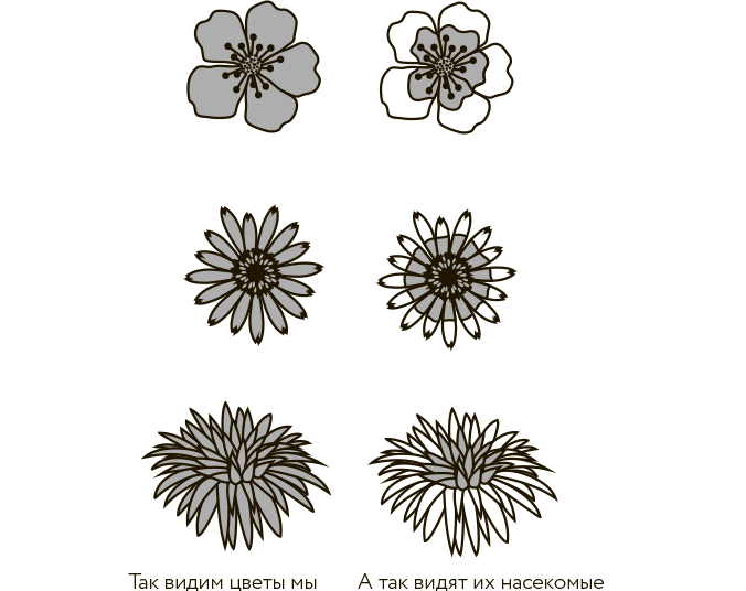 Иллюстрация к книге — Научное мировоззрение изменит вашу жизнь. Почему мы изучаем Вселенную и как это помогает нам понять самих себя? [i_014.jpg]